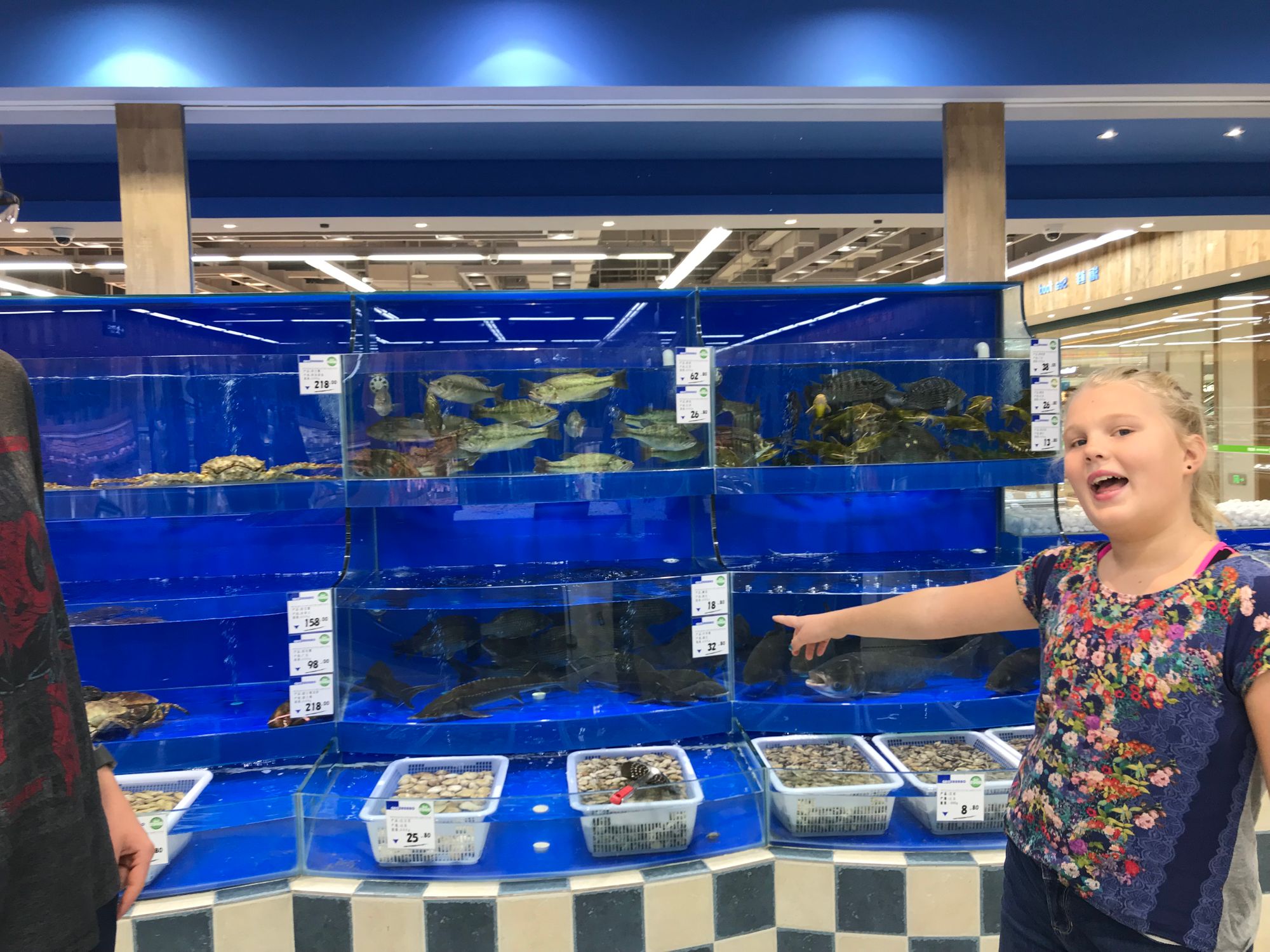 Grocery stores and Aquariums (all in one)